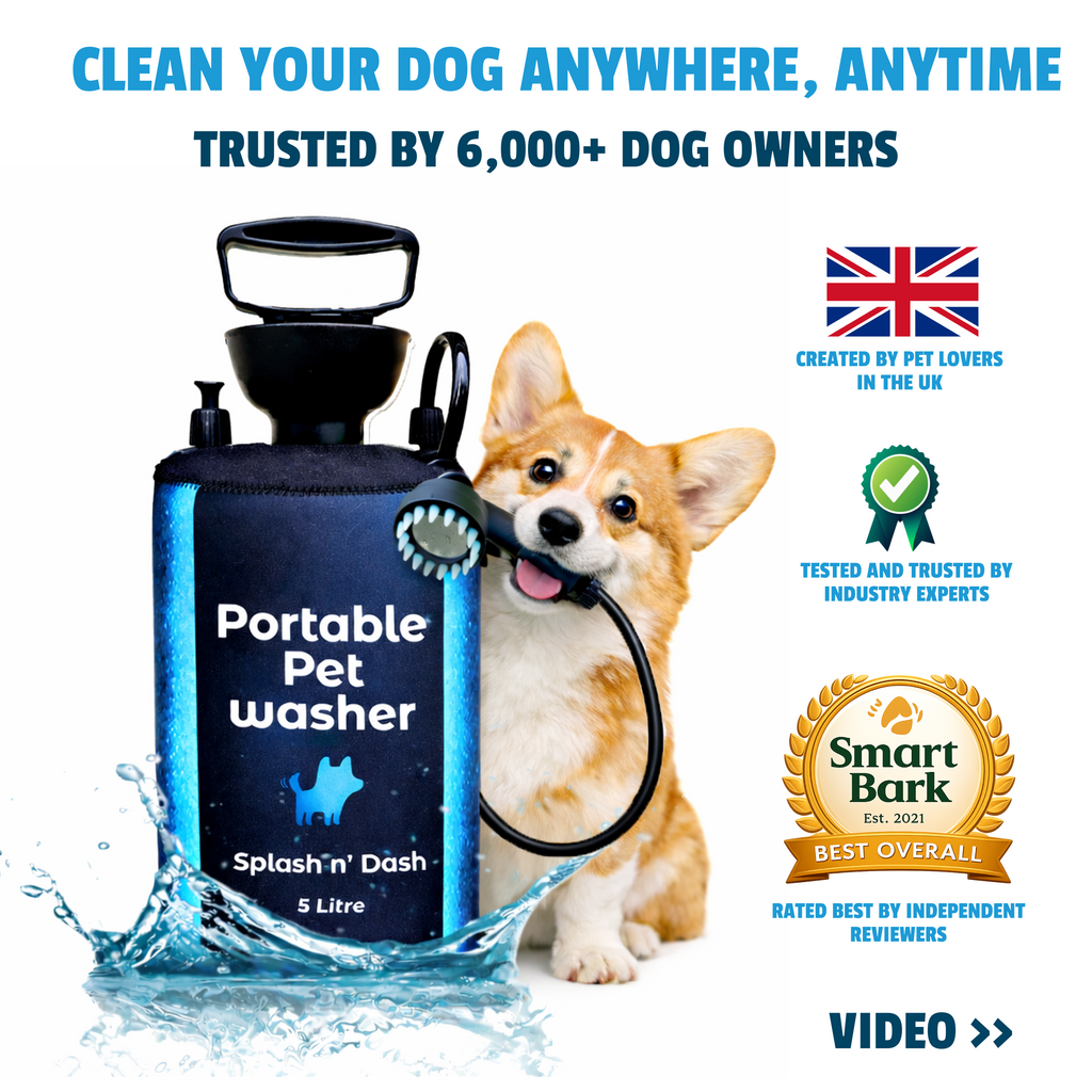 Portable Dog Washer | 5L Shower Kit with Brush Head