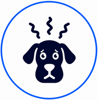 Stressful for Dogs