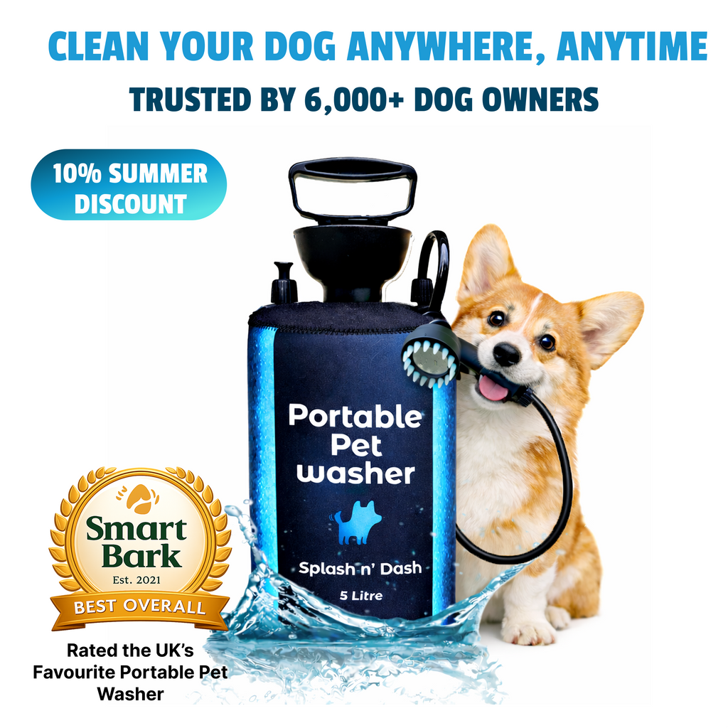 5L Portable Washer