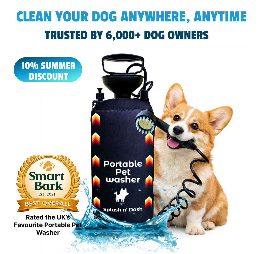 8L Portable Washer