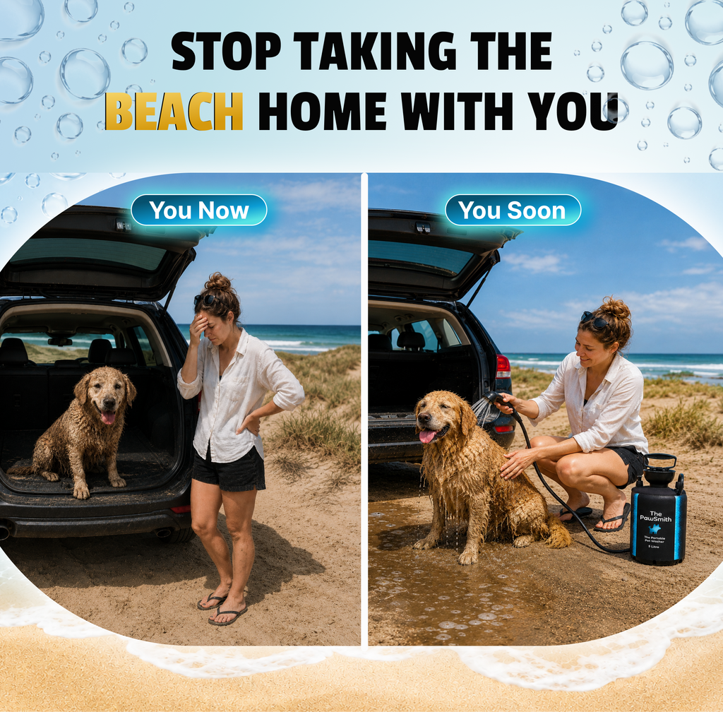 5L Portable Washer