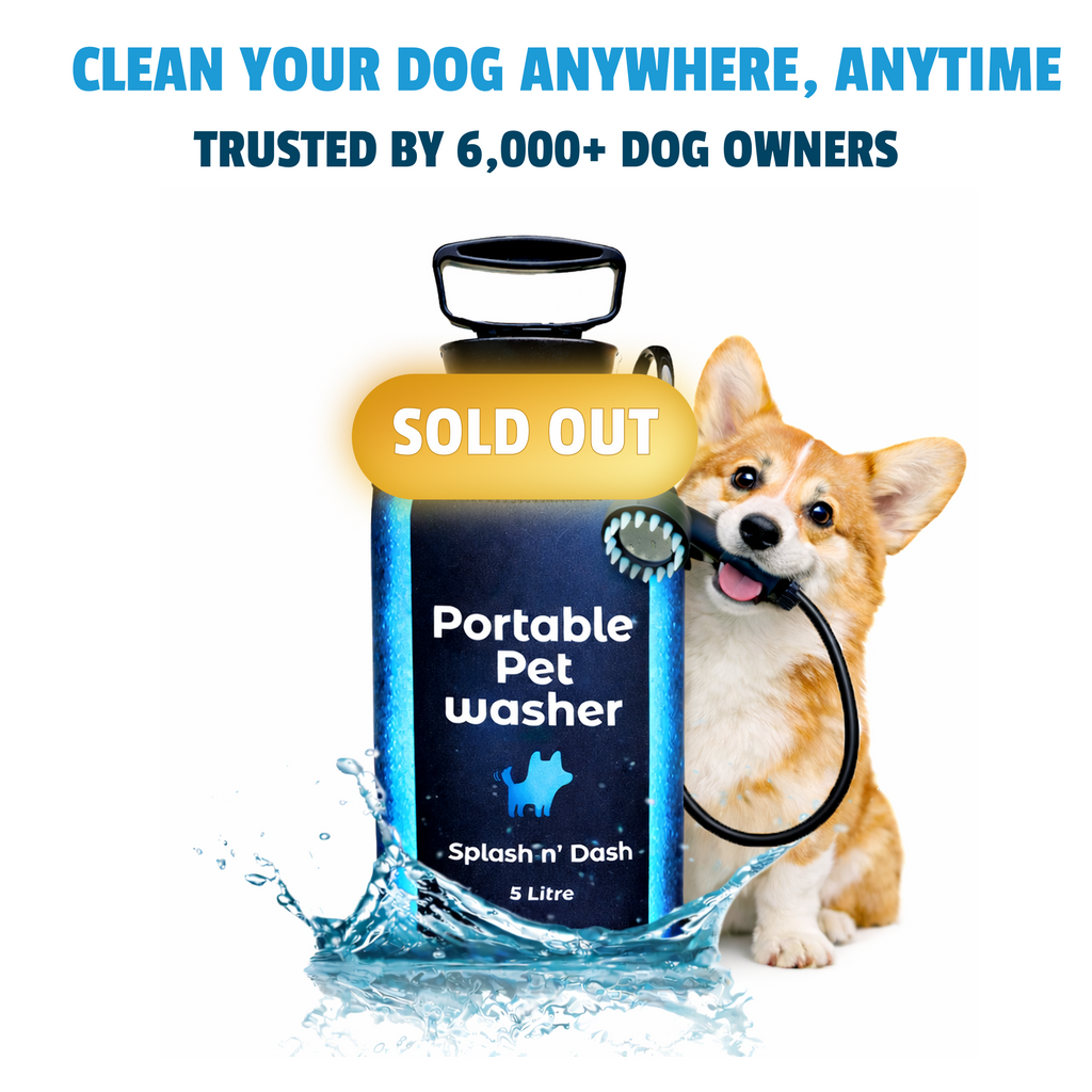 Portable Dog Washer | 5L Shower Kit with Brush Head