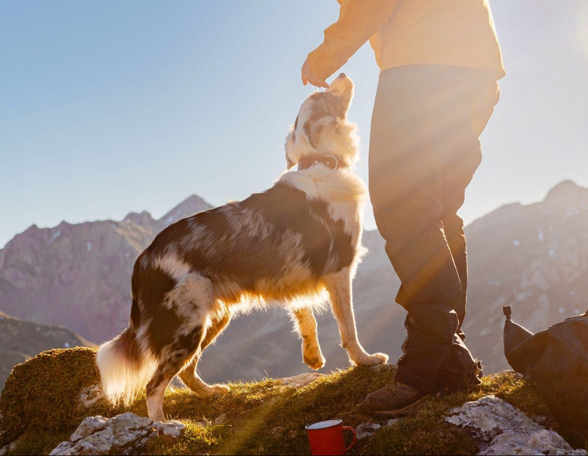 Person and dog standing on a mountain with scenic view ready to use the splash n dash portable pet washer